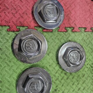 Gen.1 Center Caps